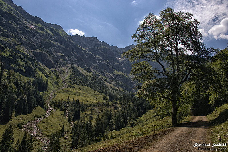 Bernhard Saalfeld - Retterschwanger Tal II